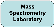 Rounded Rectangle: Mass
Spectrometry
Laboratory
